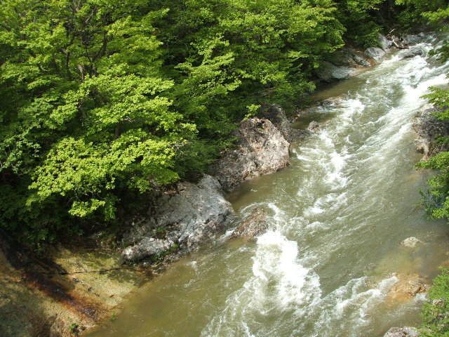 b0052523_9453442.jpg