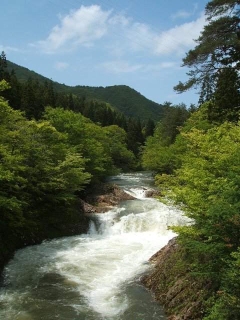 b0052523_9455092.jpg