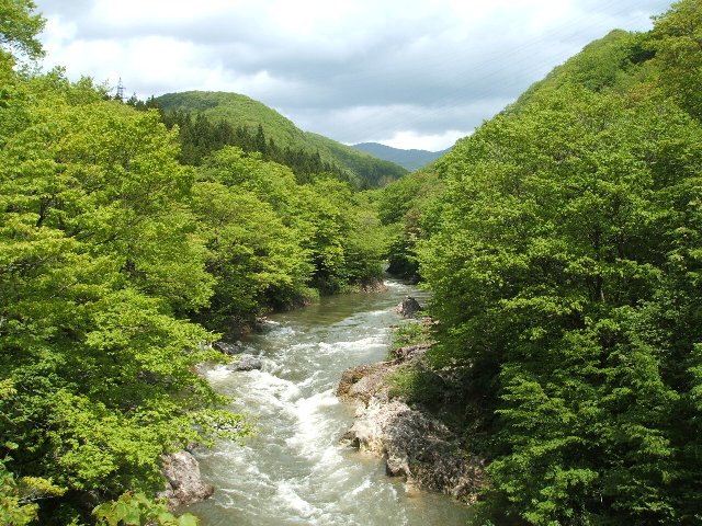 b0052523_945590.jpg