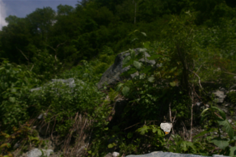 d0054625_22303463.jpg