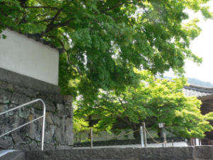 週末遍路～四十二番札所　仏木寺（宇和島市）～_c0034228_2353348.jpg