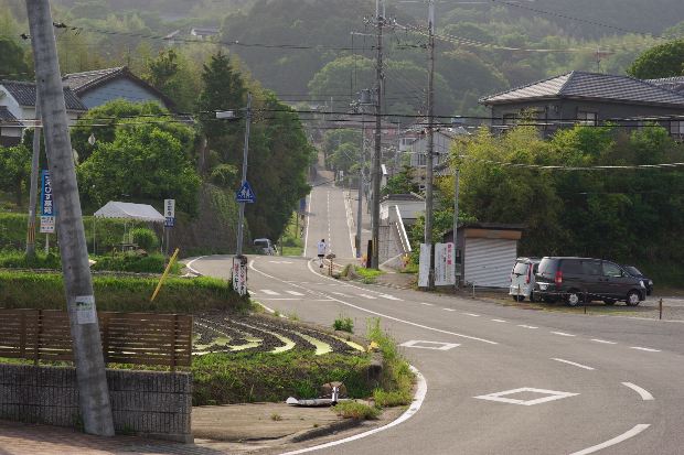 c0121738_81631.jpg