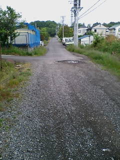 a0096557_1320225.jpg