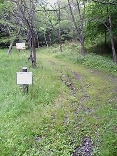 a0096557_1394546.jpg