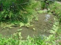 c0108460_21234161.jpg