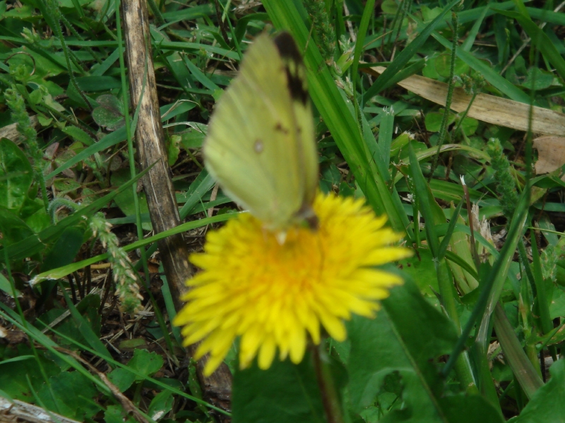 c0108460_21313185.jpg
