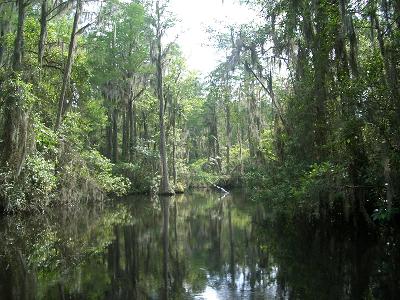 e0122968_45346.jpg