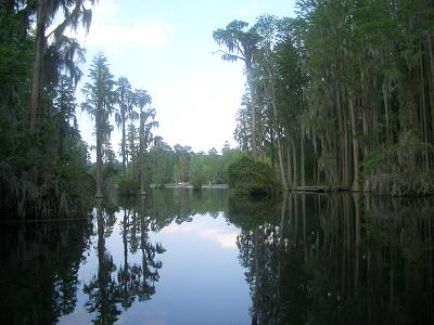 e0122968_48331.jpg