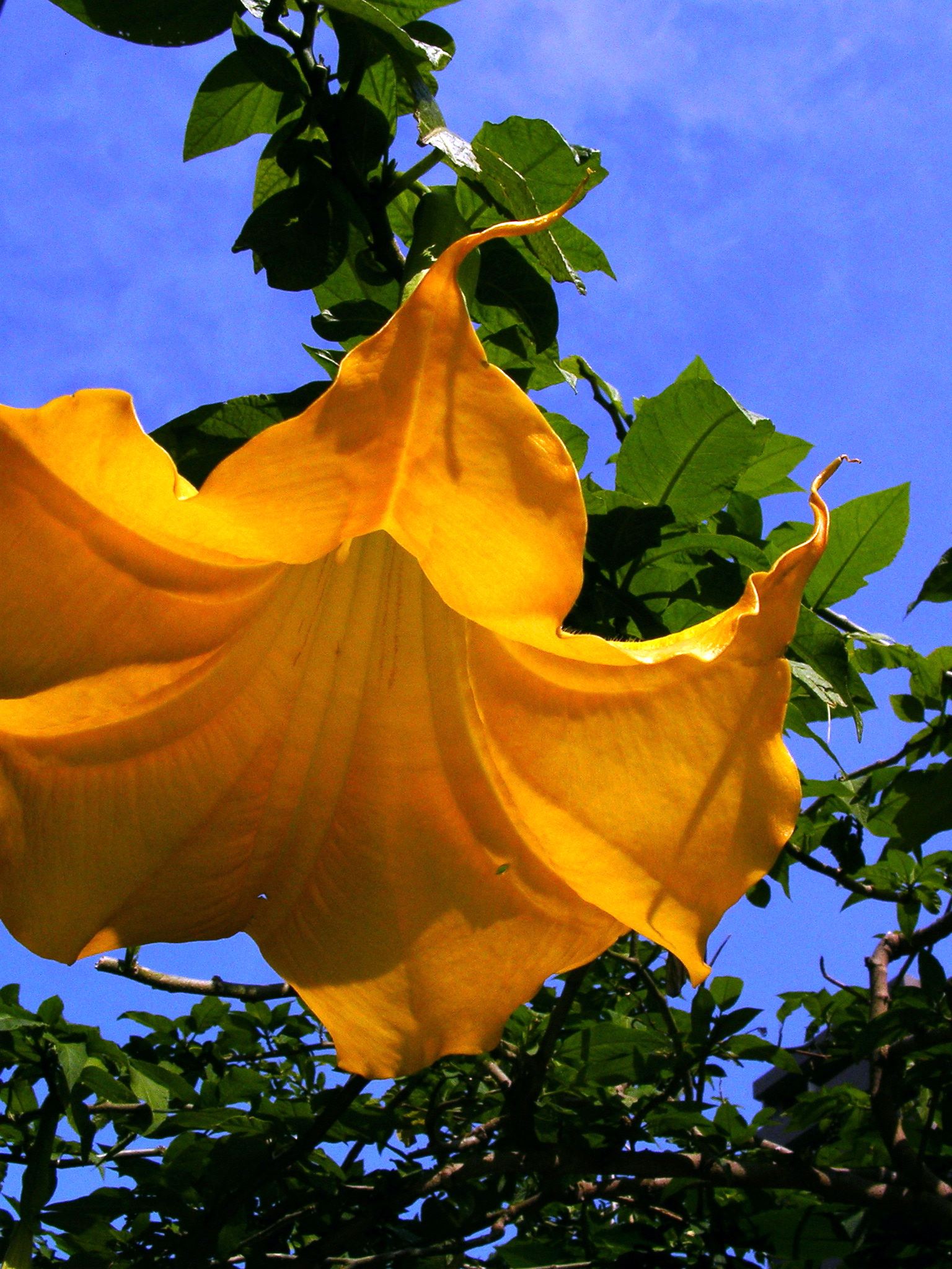 d0074688_172112.jpg