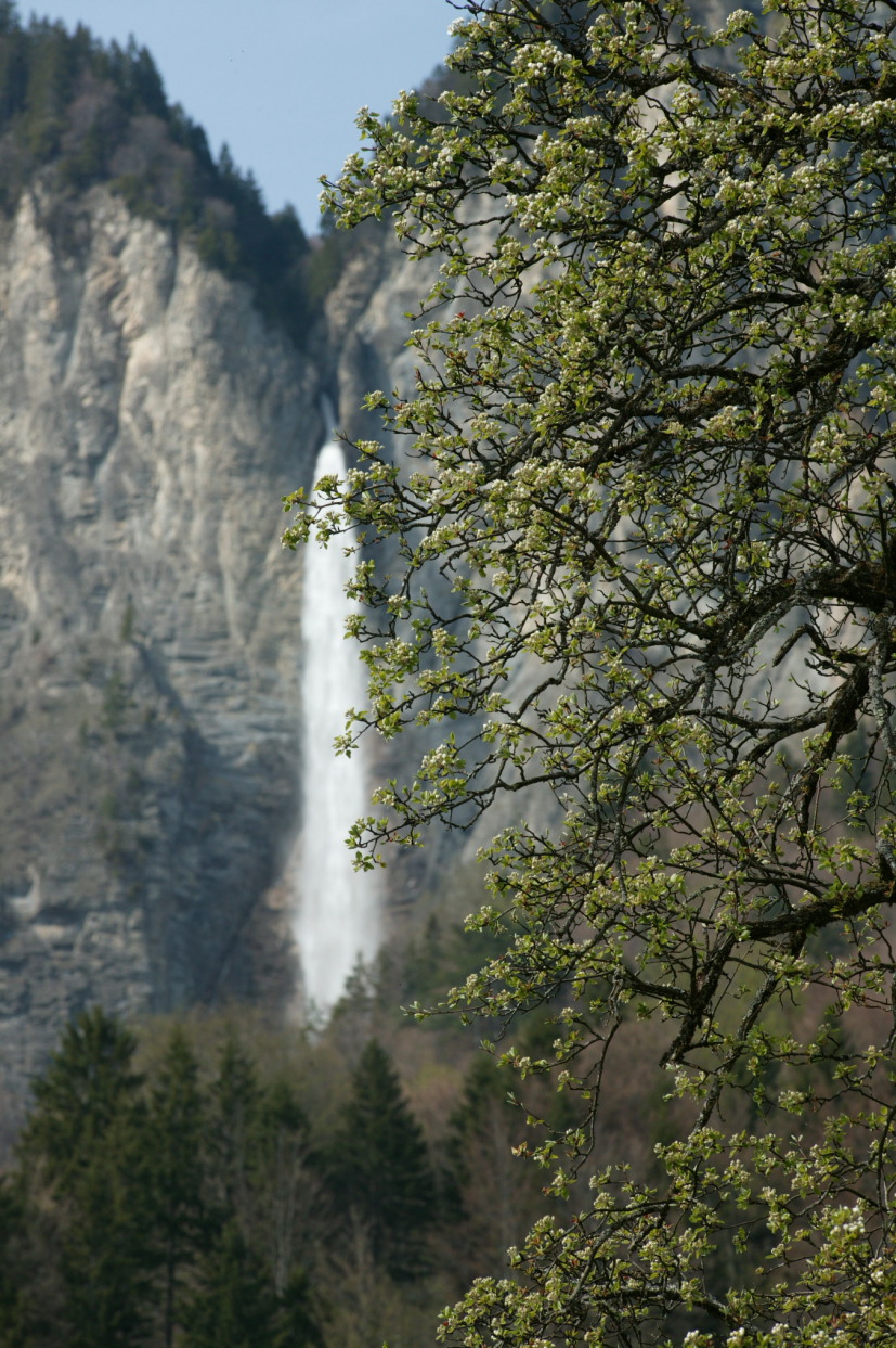 f0081988_42829.jpg