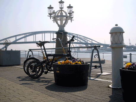 f0001993_1673693.gif
