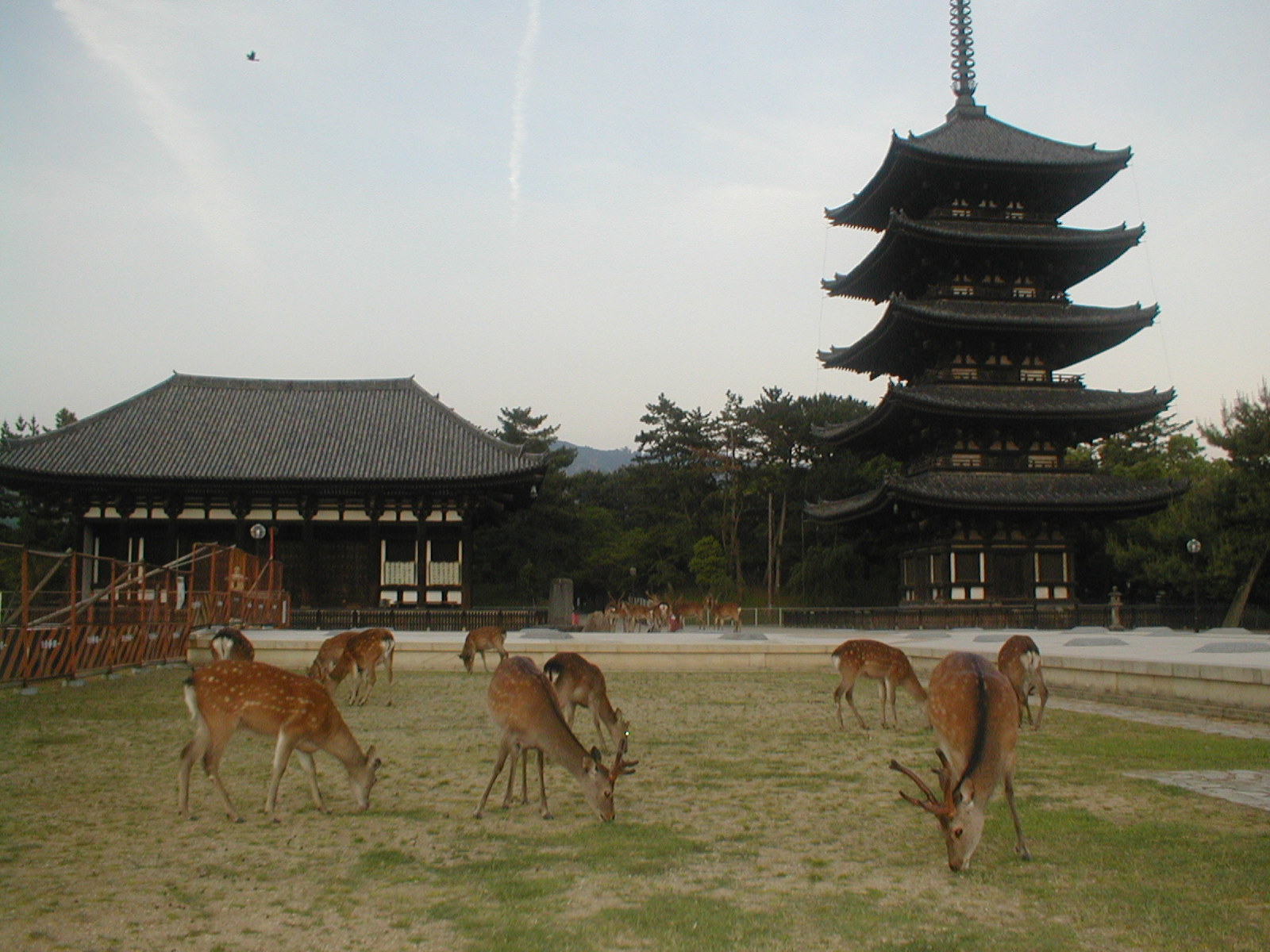 e0116694_11464774.jpg