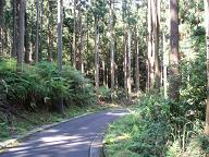 e0106098_16263924.jpg