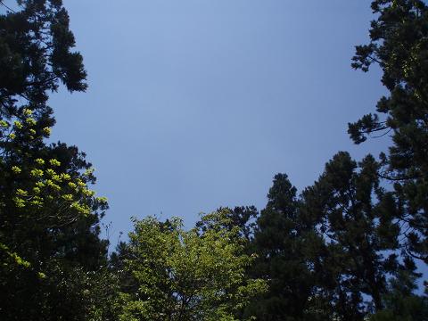 e0106098_1634116.jpg