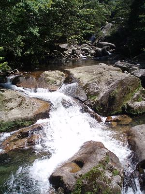 e0106098_16354994.jpg