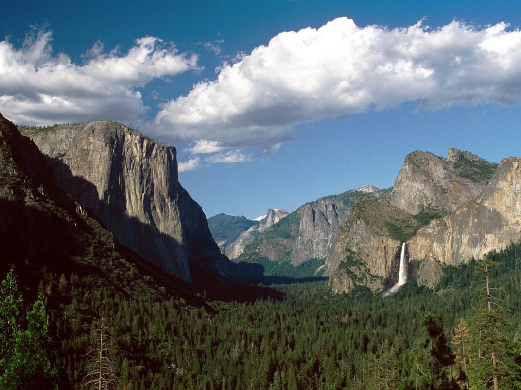 c0072801_251227.jpg