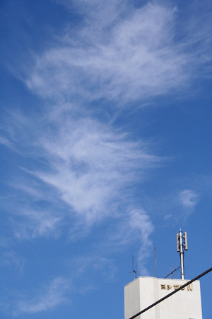 青い空〜〜_c0083210_1203962.gif