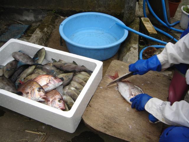 d0120021_8203227.jpg