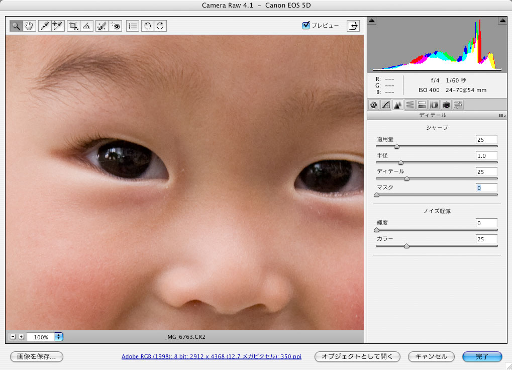 Camera Raw 4.1の「シャープ」設定_f0077521_205998.jpg