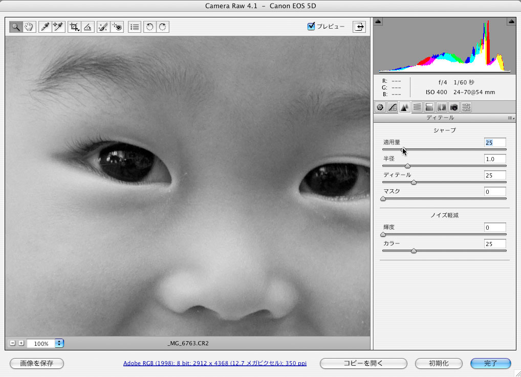 Camera Raw 4.1の「シャープ」設定_f0077521_2143457.jpg