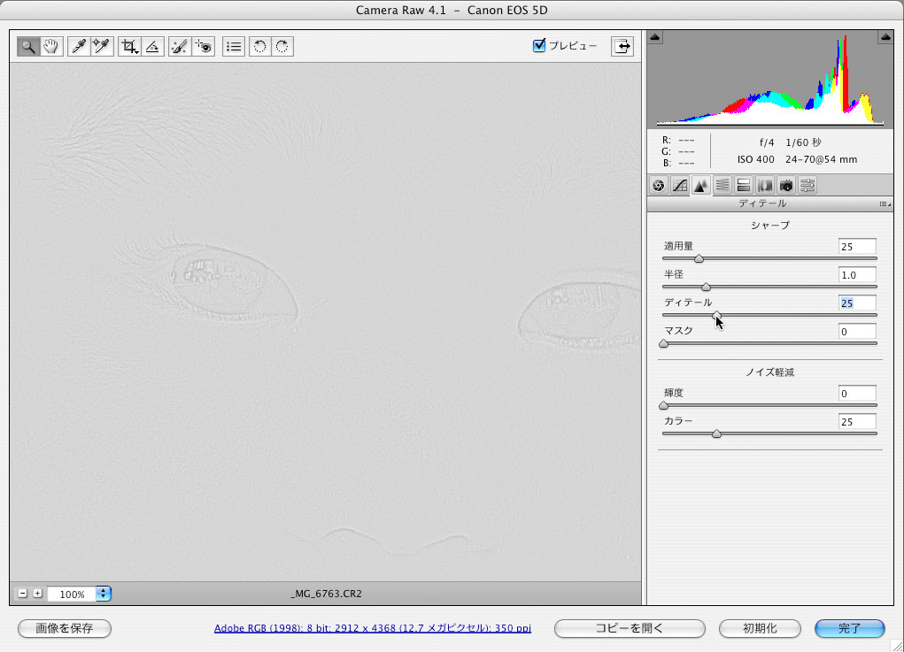 Camera Raw 4.1の「シャープ」設定_f0077521_2153712.jpg