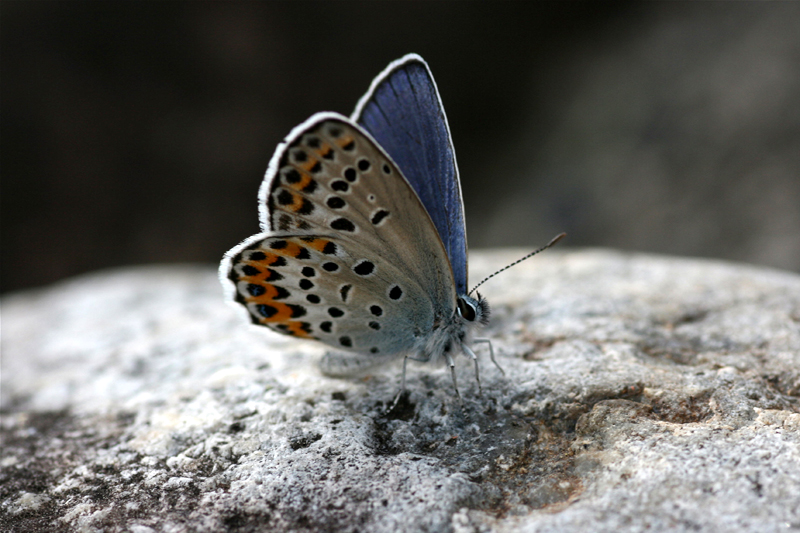 d0054625_21263023.jpg