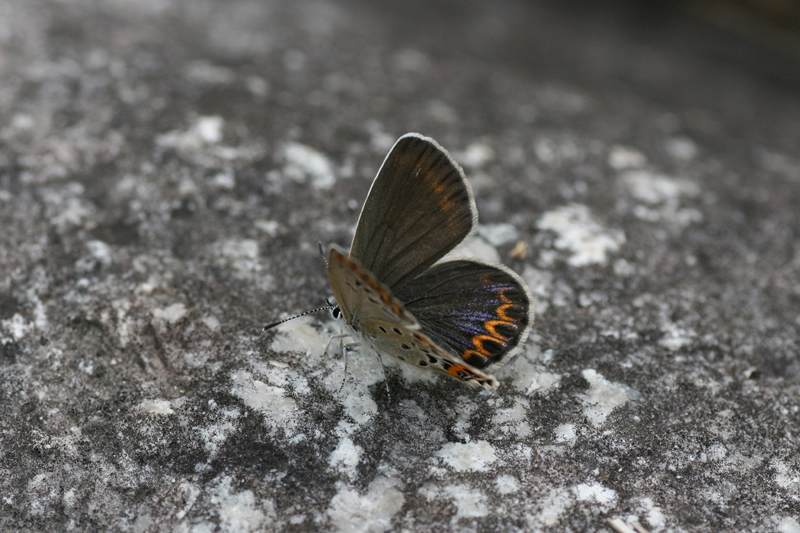 d0054625_21294926.jpg