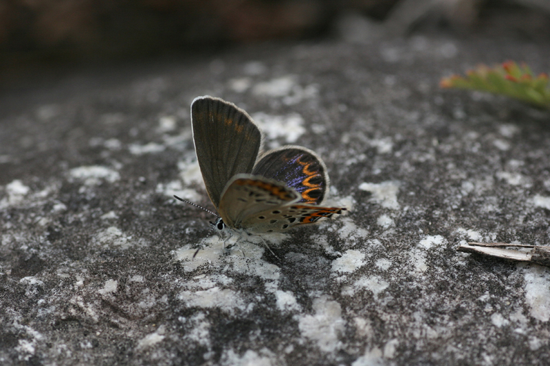 d0054625_21335563.jpg