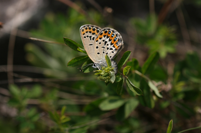 d0054625_21385856.jpg