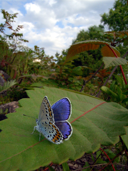 d0054625_21471623.jpg