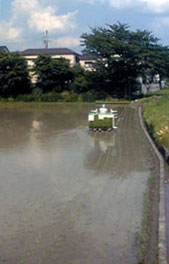 田植え_e0103327_10405154.jpg