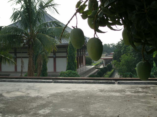 d0079830_8344698.jpg