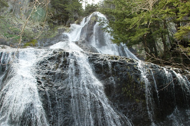 f0000330_1416474.jpg
