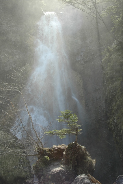 f0000330_14171574.jpg