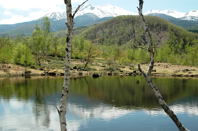 f0000330_141717.jpg