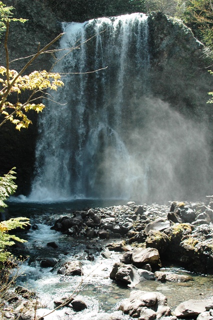 f0000330_1451436.jpg
