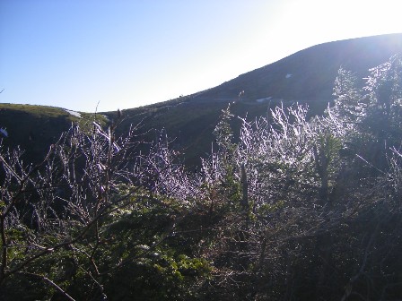 f0000330_65447100.jpg