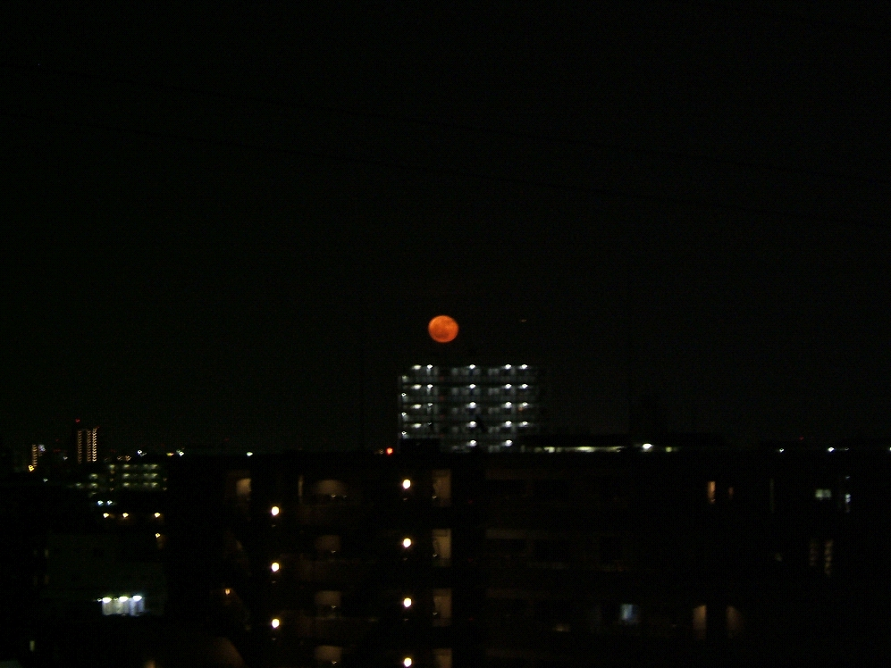 e0089232_23282324.jpg