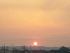 d0040733_1424451.jpg