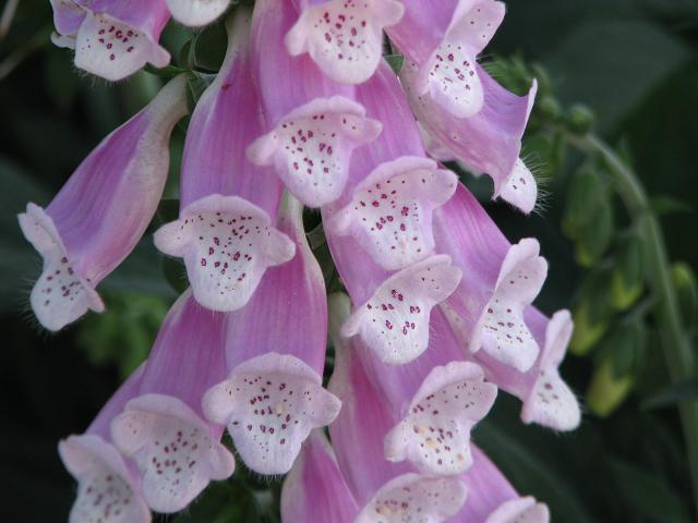 f0099535_141152.jpg