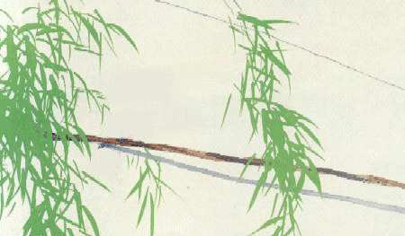 b0012636_7254846.gif