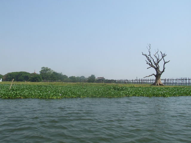 <アマラプラ＞　ウー・ベイン橋　（2）_c0011649_1525111.jpg