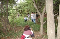 c0108460_17532483.jpg