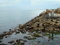 せんなん里海公園「みんなで遊ぼう！里海くらぶ」_c0108460_18373910.jpg