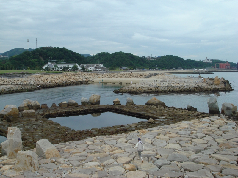 せんなん里海公園「みんなで遊ぼう！里海くらぶ」_c0108460_18393373.jpg