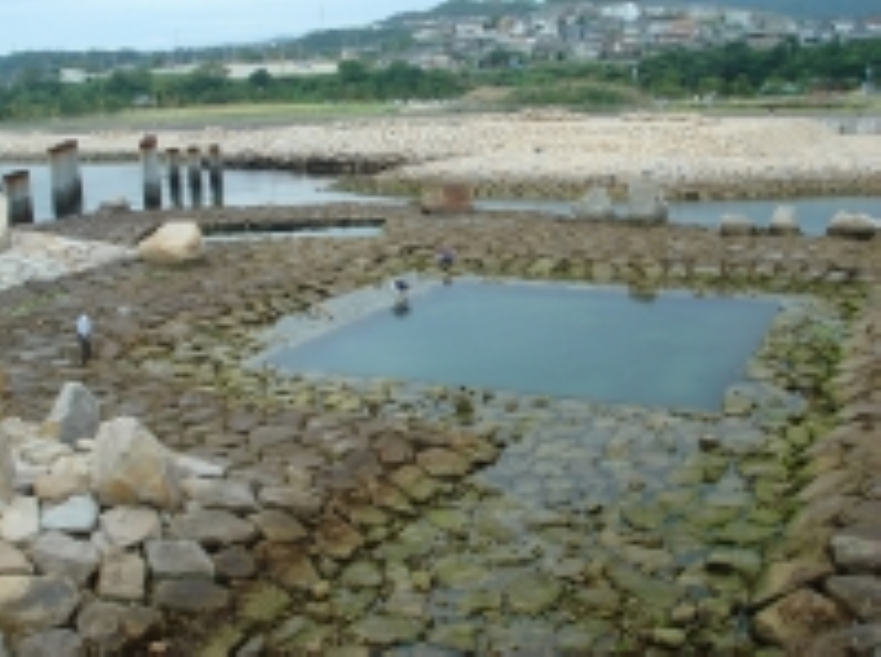 せんなん里海公園「みんなで遊ぼう！里海くらぶ」_c0108460_18521263.jpg