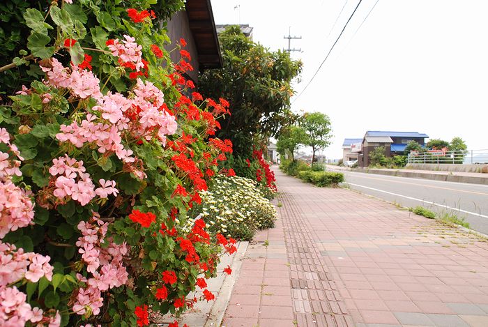 しまなみ海道合宿初日_e0053660_18564894.jpg