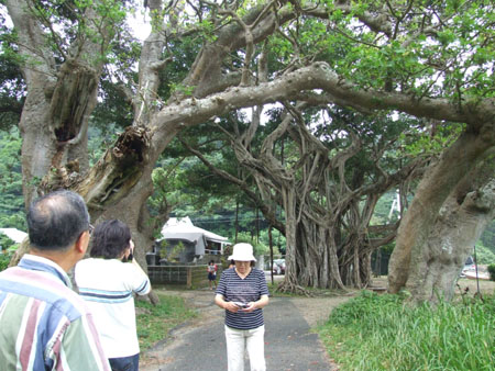 いい写真が撮れたでしょうか!_e0028387_23511750.jpg