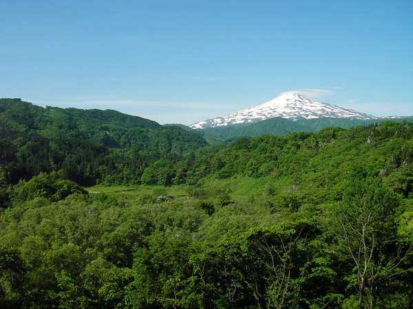 a0043193_17242515.jpg