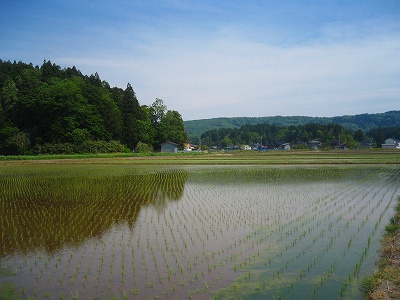 f0047693_09186.jpg